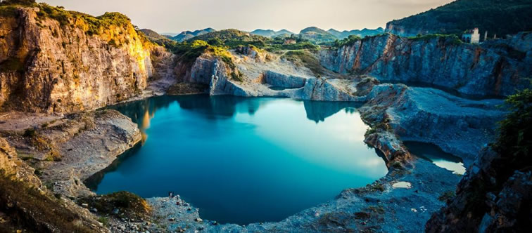 泰安高新區(qū)東方苗木有限公司