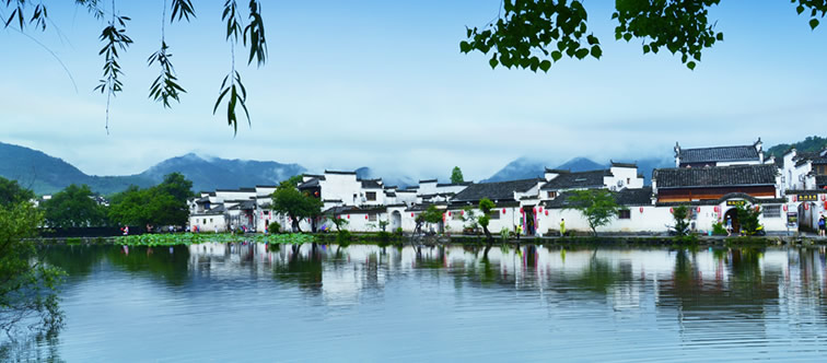 泰安高新區(qū)東方苗木有限公司