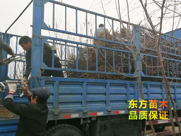 裝車(chē)現(xiàn)場(chǎng)