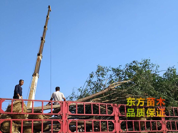 裝車(chē)現(xiàn)場(chǎng)